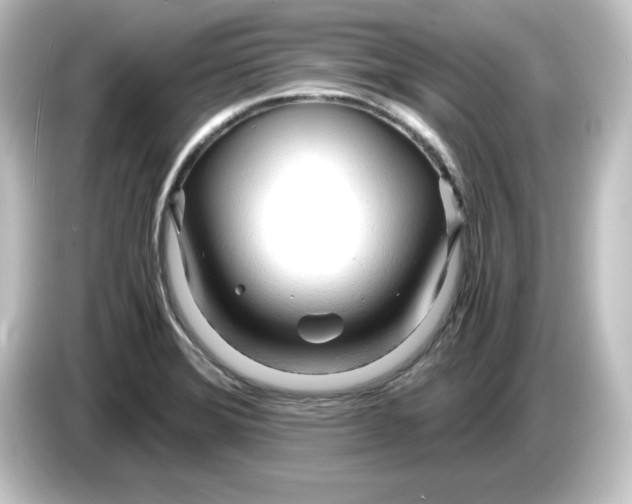 X0000084551372200703161639