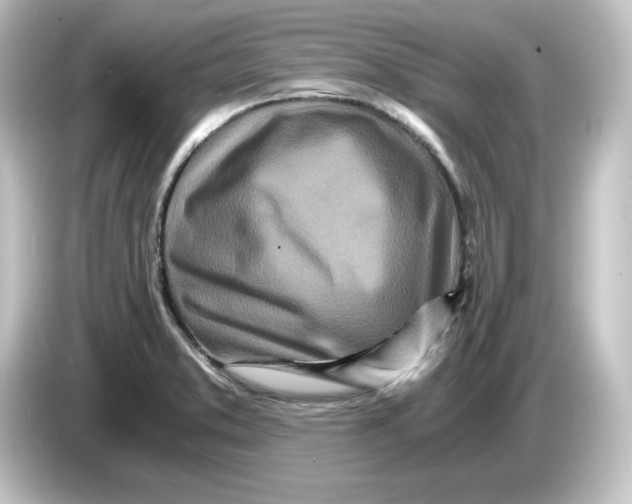 X0000084551373200703161639