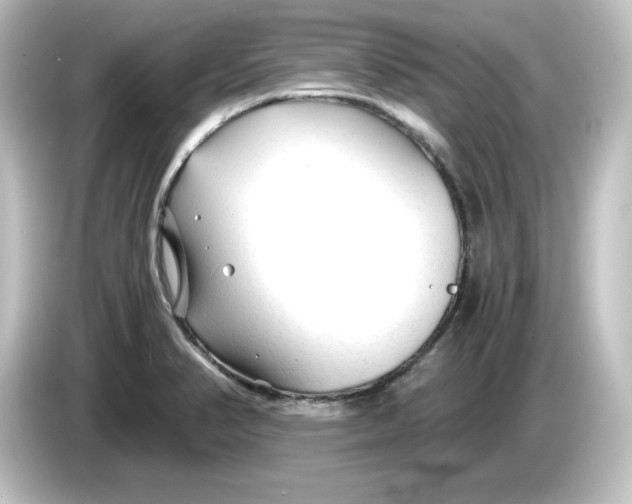 X0000084551374200703161639