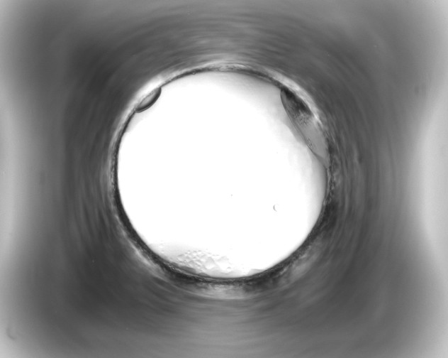 X0000084551375200703161639