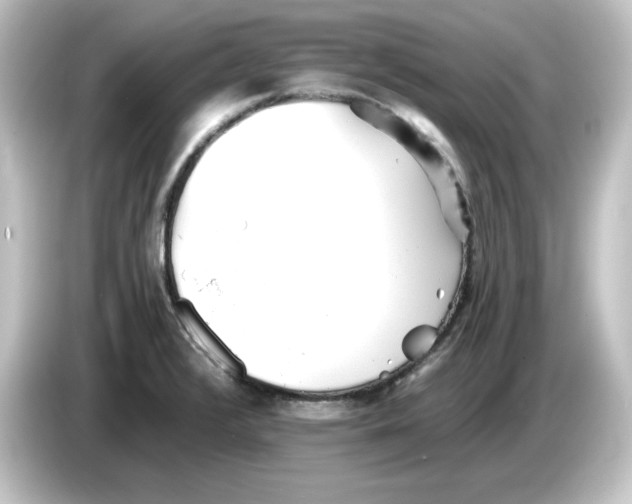 X0000084551376200703161639