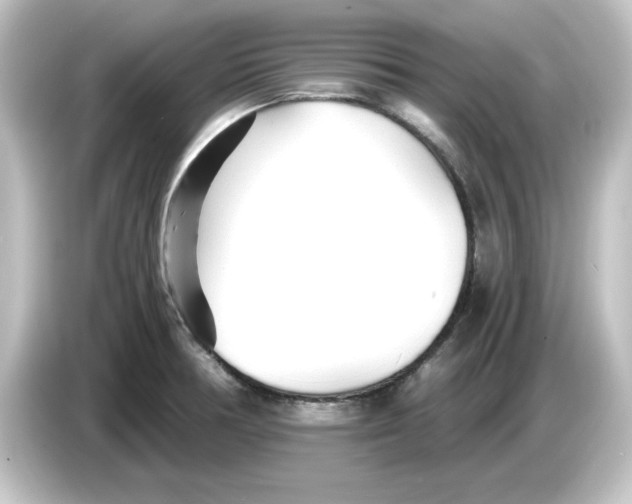 X0000084551378200703161639