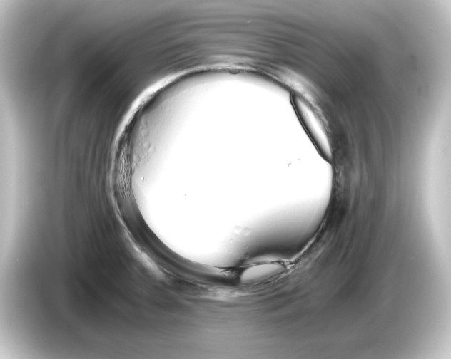 X0000084551379200703161639