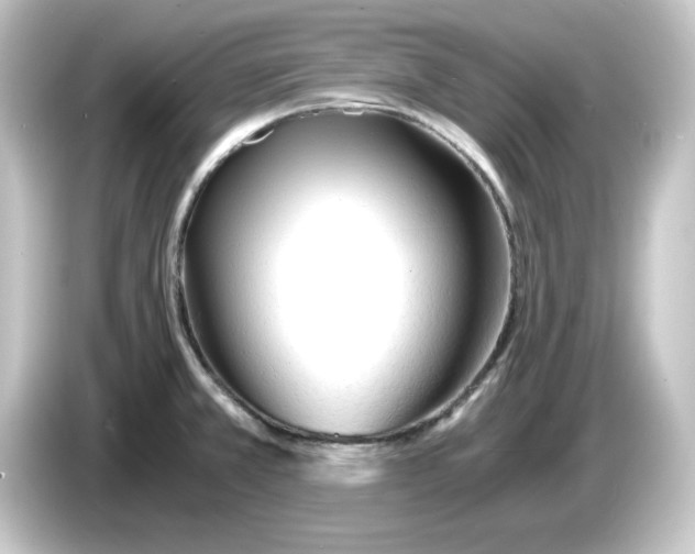 X0000084551381200703161638