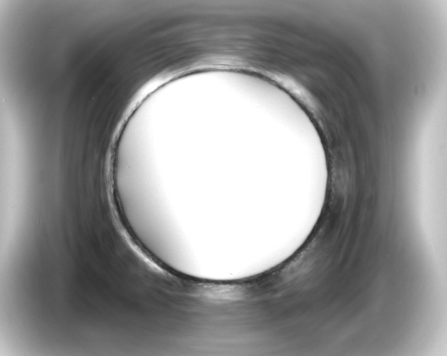 X0000084551382200703161638