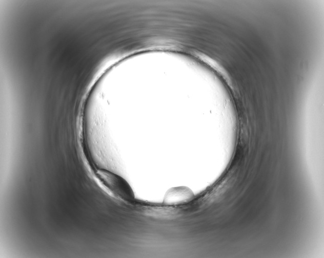 X0000084551383200703161638