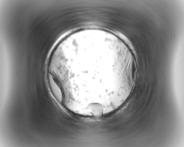 X0000084551384200703161638