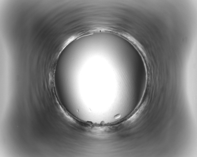 X0000084551385200703161638