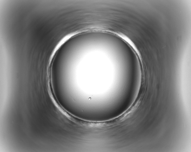 X0000084551389200703161638