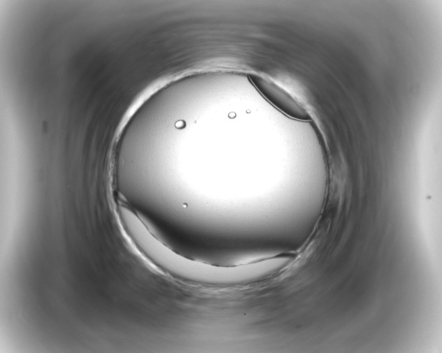 X0000084551390200703161638