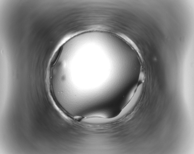 X0000084551391200703161638