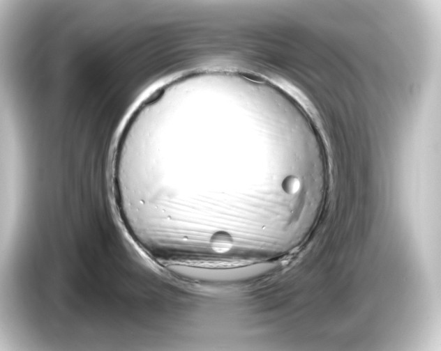 X0000084551392200703161638