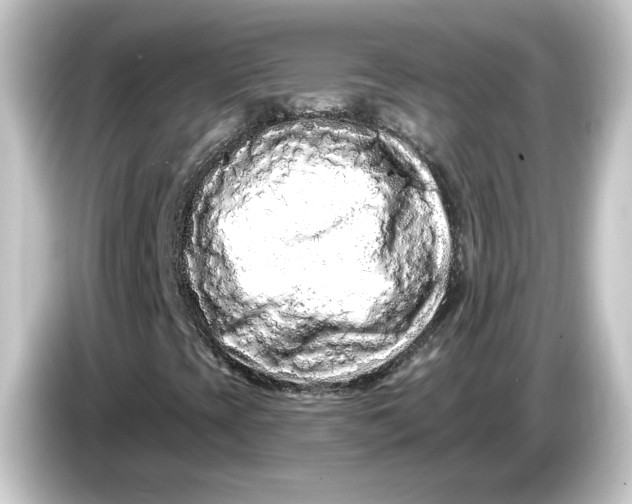 X0000084551393200703161638