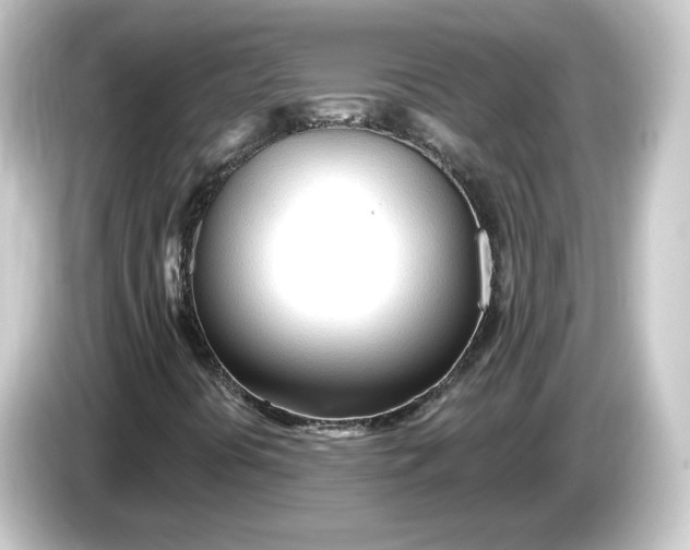 X0000084551394200703161638