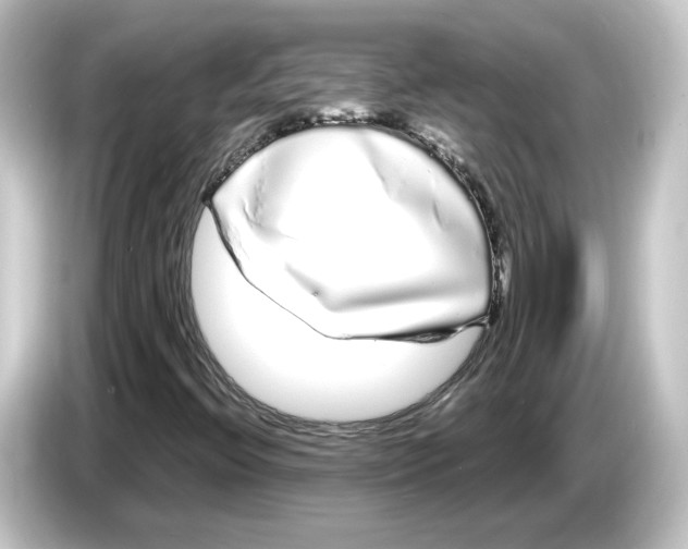 X0000084551396200703161638