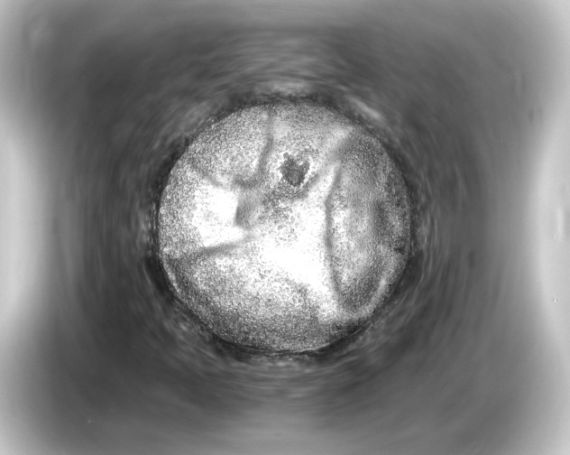 X0000084551397200703161638