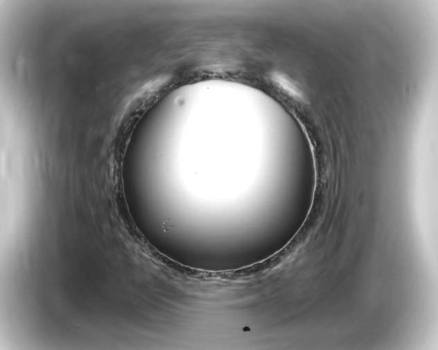 X0000084551398200703161638