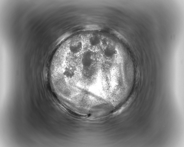 X0000084551401200703161638