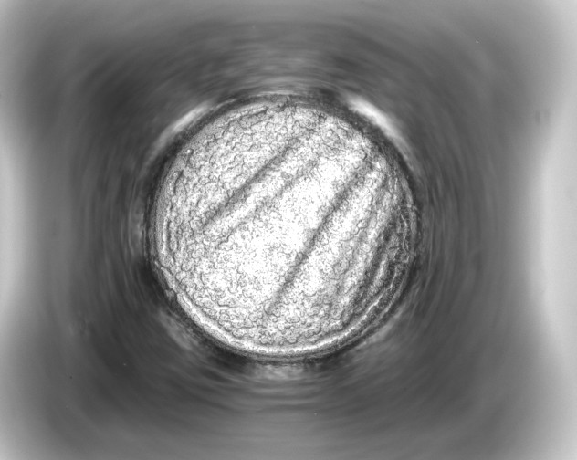 X0000084551403200703161638