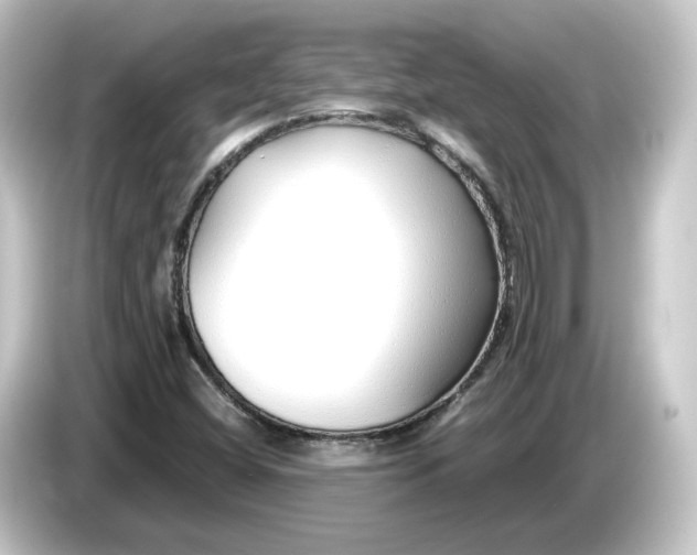 X0000084551404200703161638