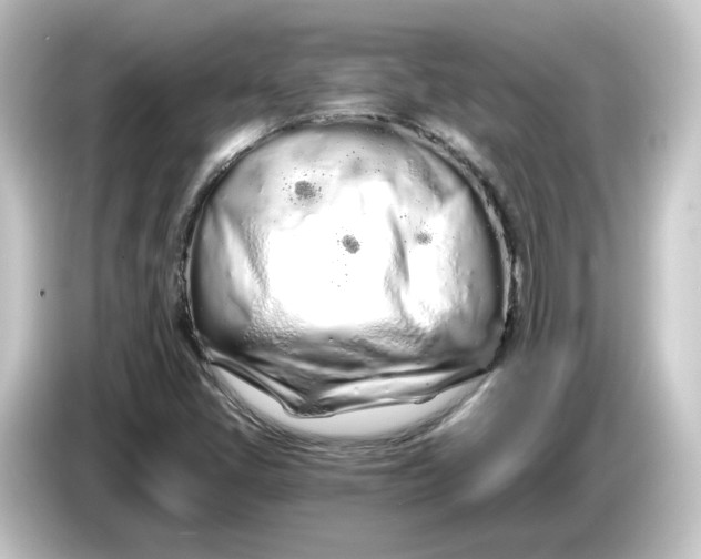 X0000084551405200703161638