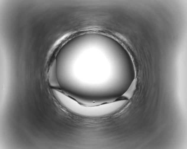 X0000084551406200703161638