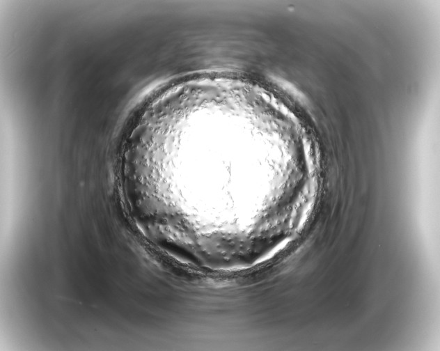 X0000084551407200703161638