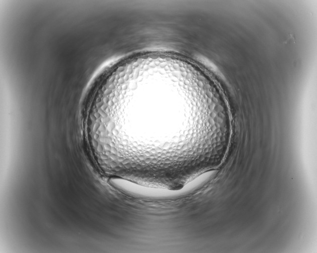 X0000084551408200703161638