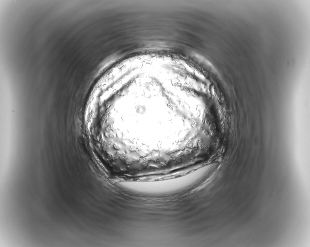 X0000084551409200703161638