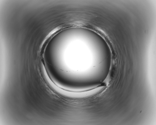 X0000084551410200703161638