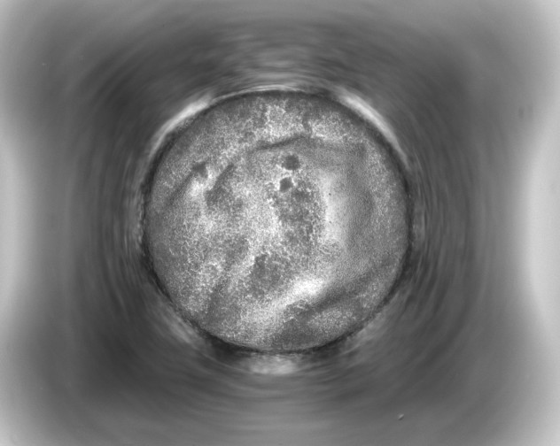 X0000084551411200703161638