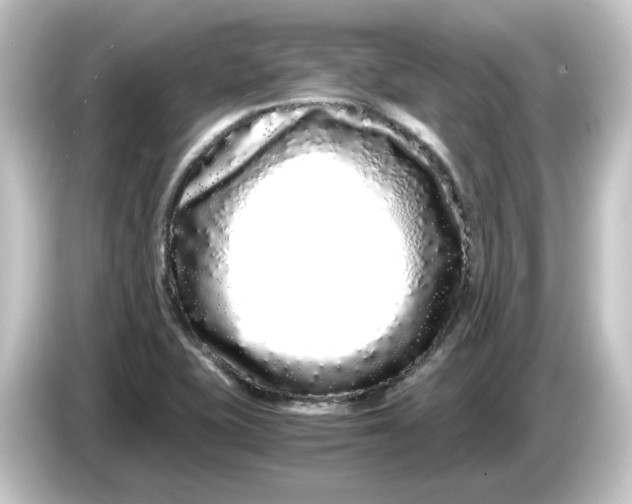 X0000084551415200703161638