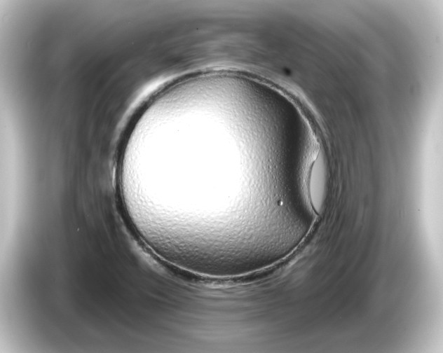 X0000084551416200703161638