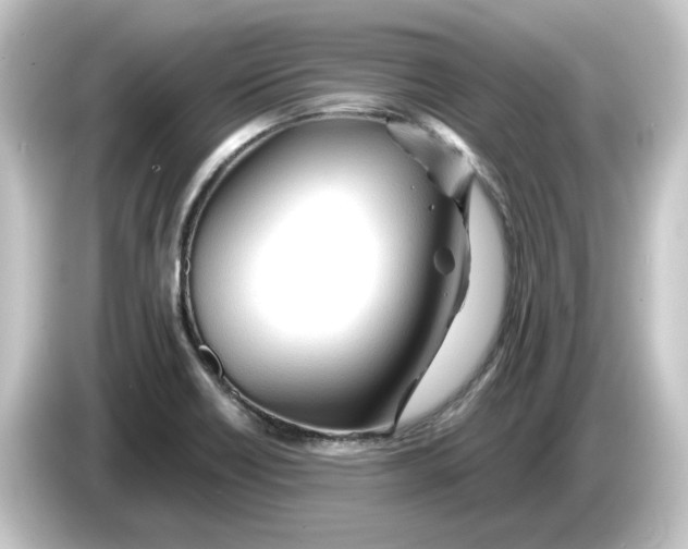 X0000084551418200703161638