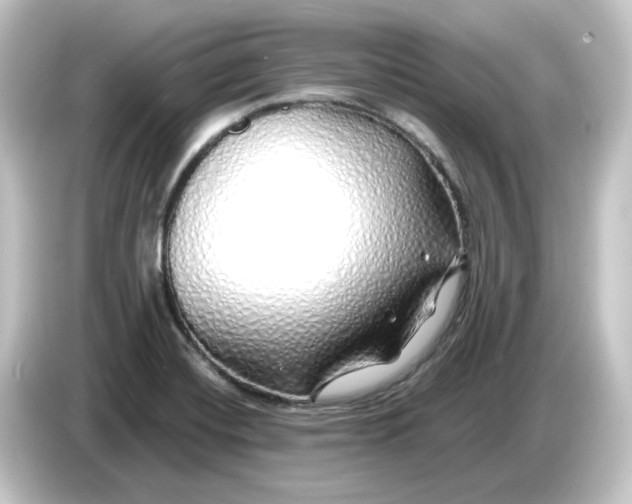 X0000084551420200703161638