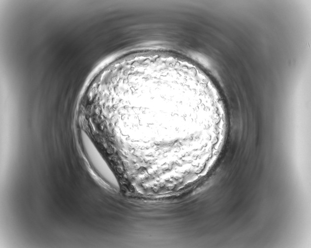 X0000084551421200703161638