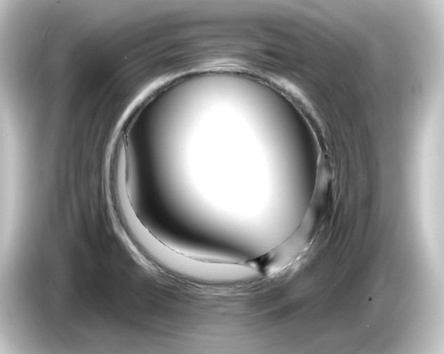 X0000084551422200703161638