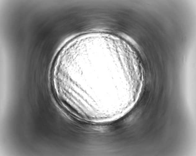 X0000084551423200703161638