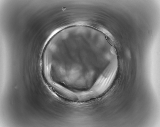 X0000084551428200703161638