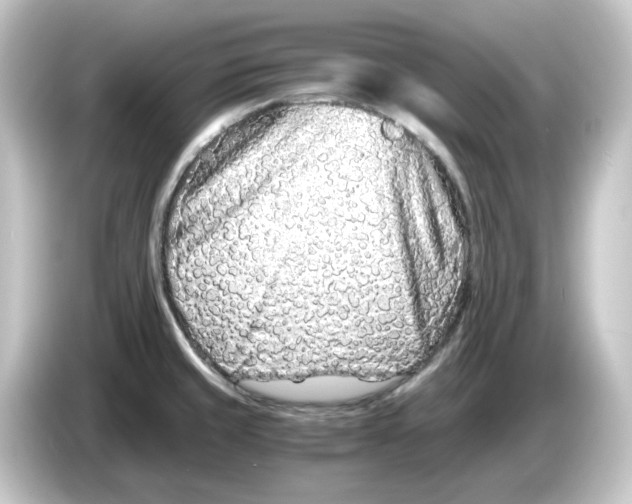 X0000084551429200703161638