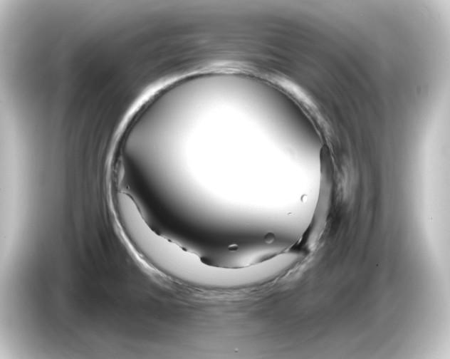 X0000084551430200703161638