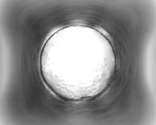 X0000084551431200703161638