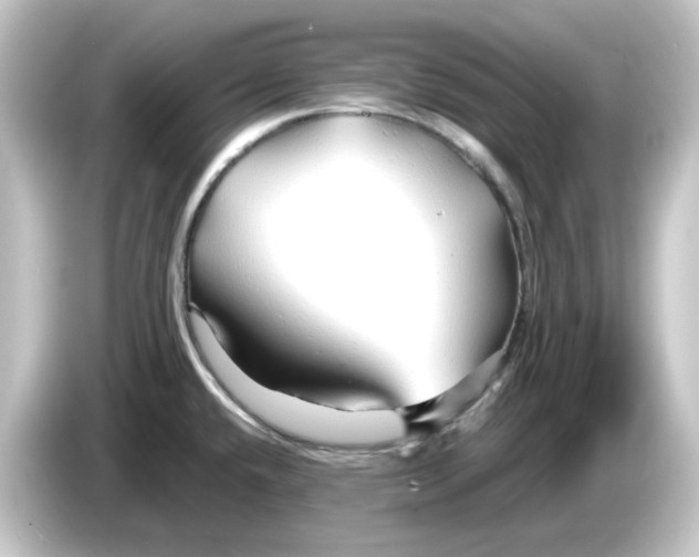 X0000084551432200703161638