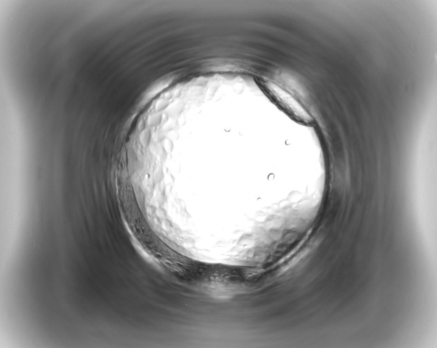 X0000084551433200703161638