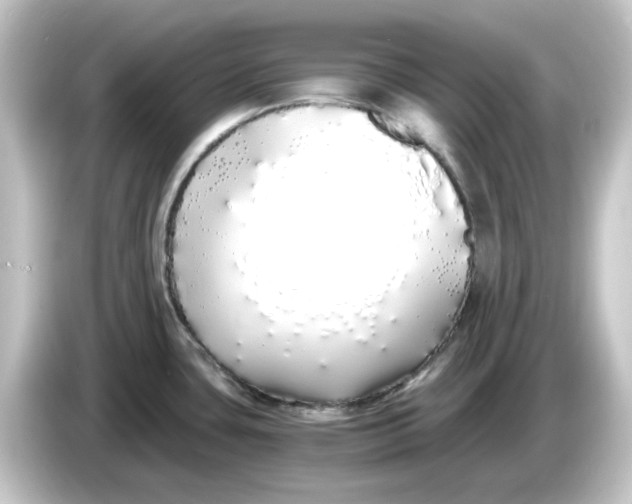 X0000084551435200703161638