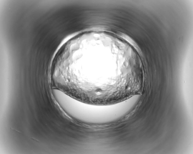 X0000084551436200703161638