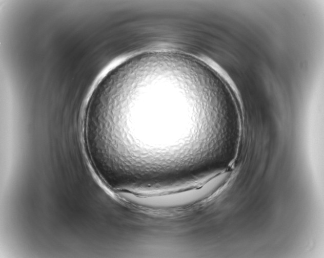 X0000084551437200703161638