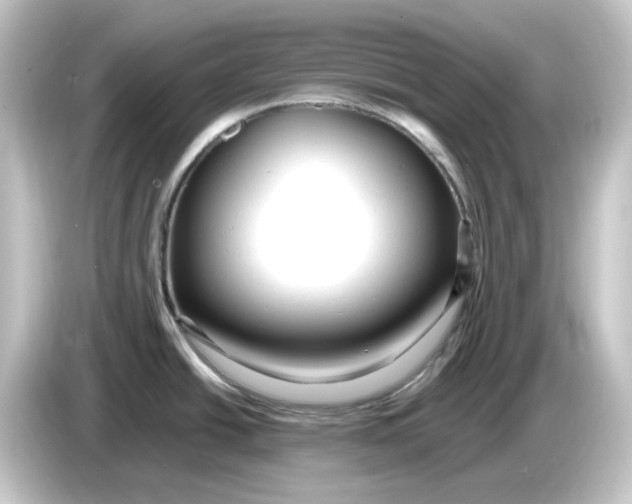 X0000084551438200703161638