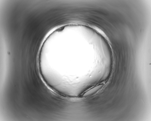 X0000084551440200703161638