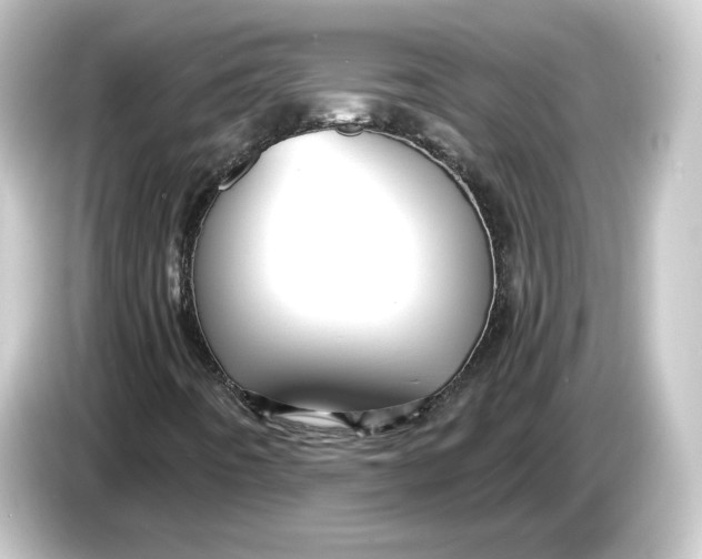 X0000084551442200703161638